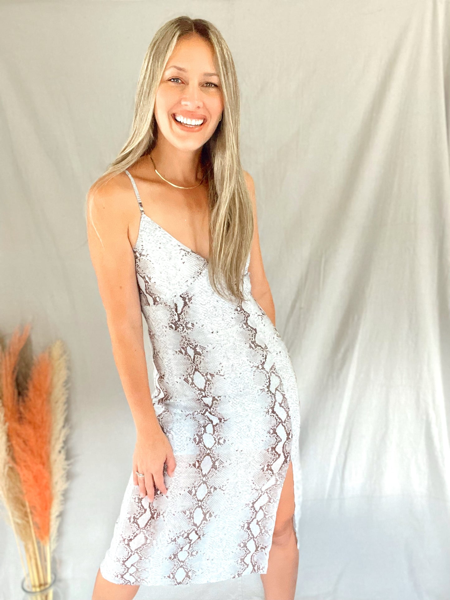 Lala Snake Print Midi Dress