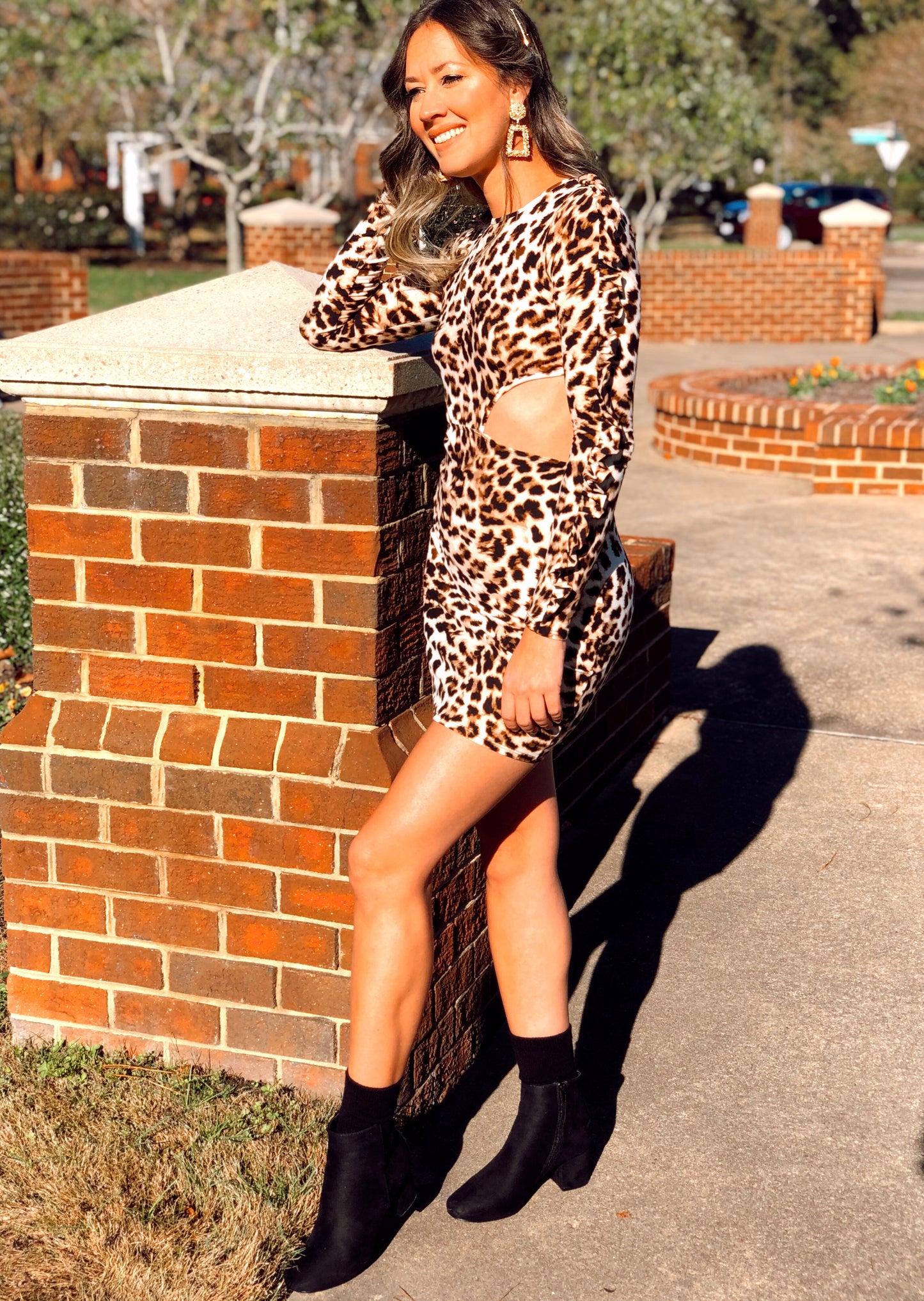 Millie Cheetah Cut Out Flounce Sleeve Trim Mini Dress