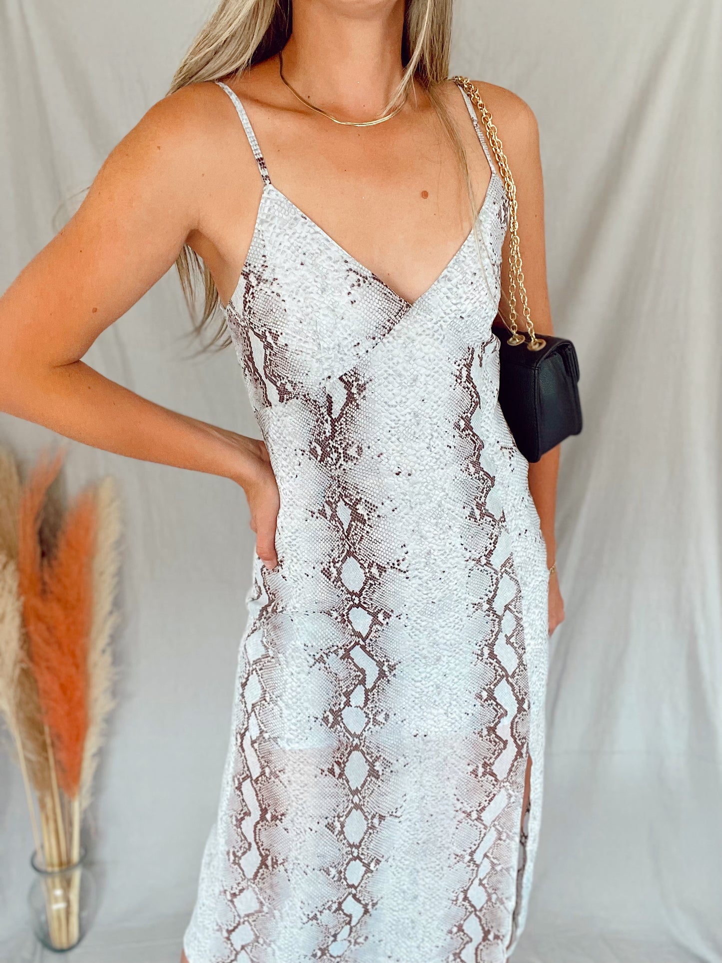Lala Snake Print Midi Dress