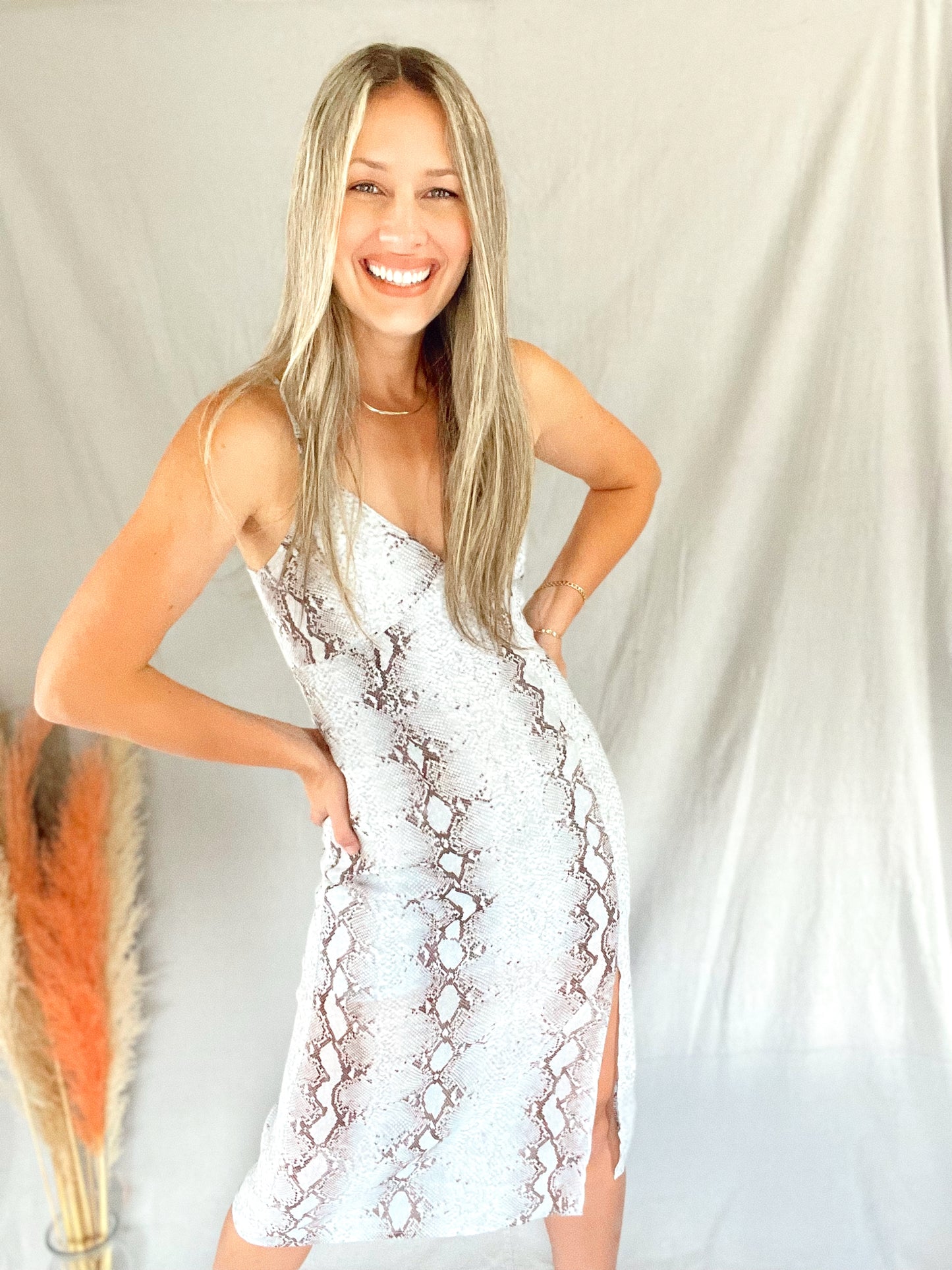 Lala Snake Print Midi Dress