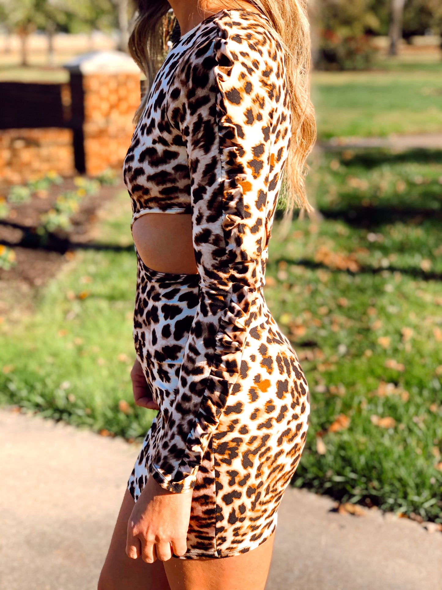 Millie Cheetah Cut Out Flounce Sleeve Trim Mini Dress